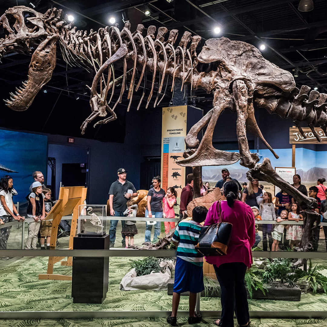 Orlando Science Center